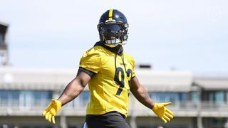 Steelers' Mark Robinson Called Out By A Delighted Colts' Mo Alie-Cox: "I Said This Is A Touchdown All The Way" (Steelers News). Photo by Karl Roser / Pittsburgh Steelers